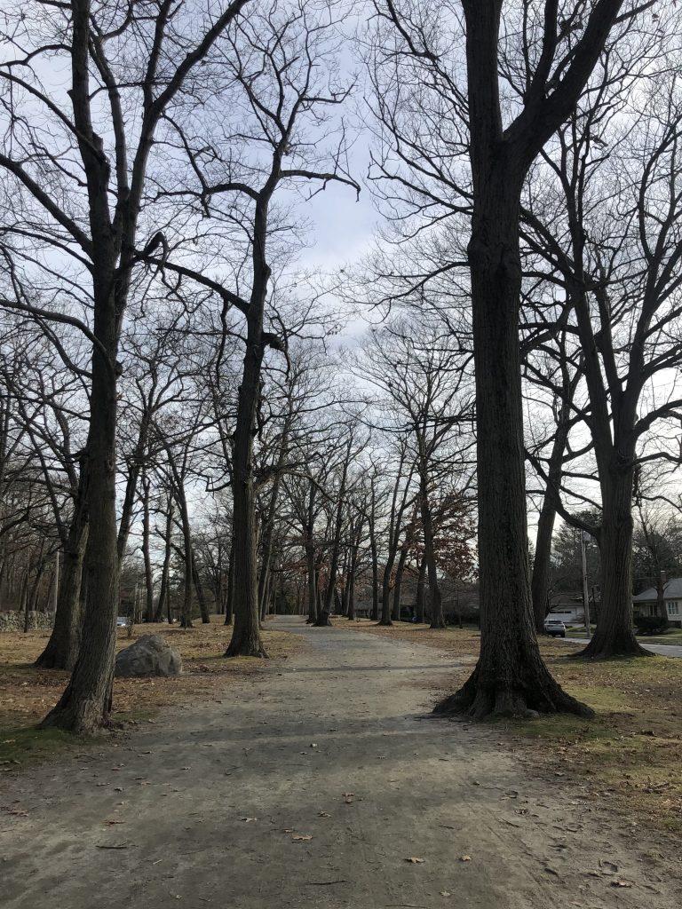 The walking path on Blackstone Boulevard