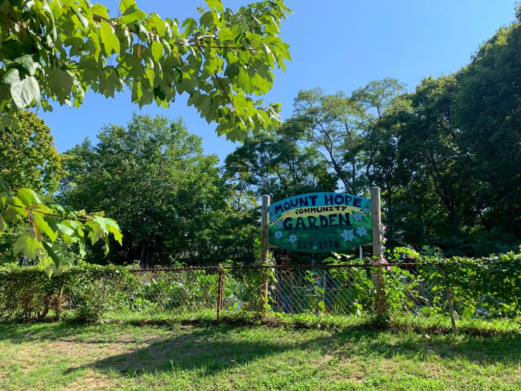 Mount Hope